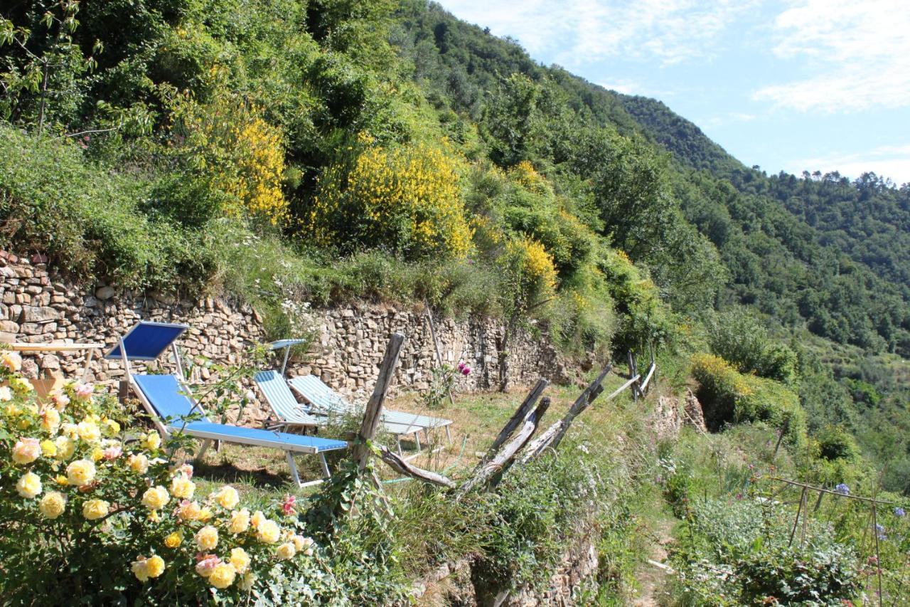 Rural House Βίλα Vignai Εξωτερικό φωτογραφία