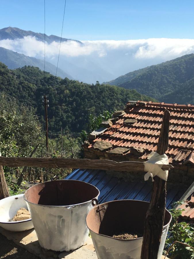 Rural House Βίλα Vignai Εξωτερικό φωτογραφία