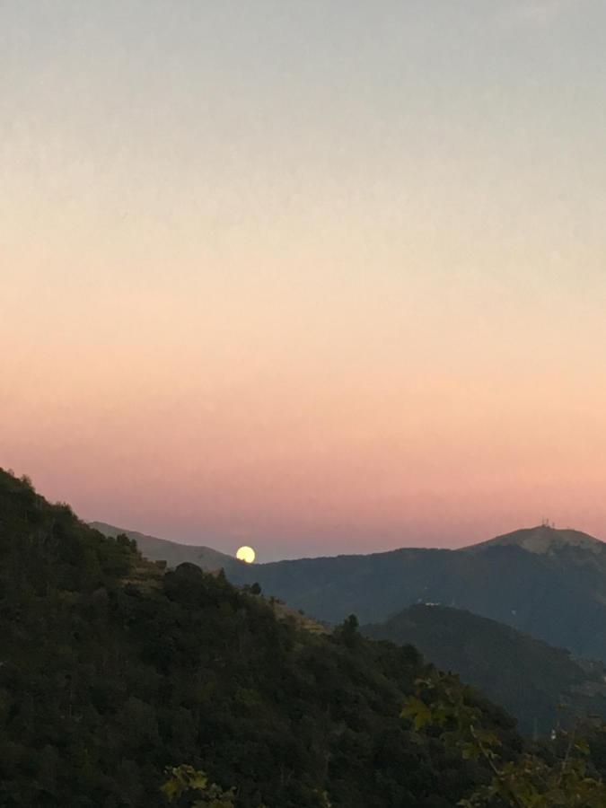 Rural House Βίλα Vignai Εξωτερικό φωτογραφία